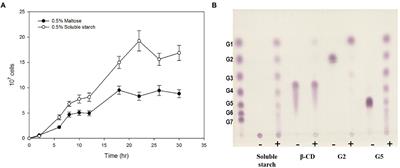 Acceptor dependent catalytic properties of GH57 4-α-glucanotransferase from Pyrococcus sp. ST04